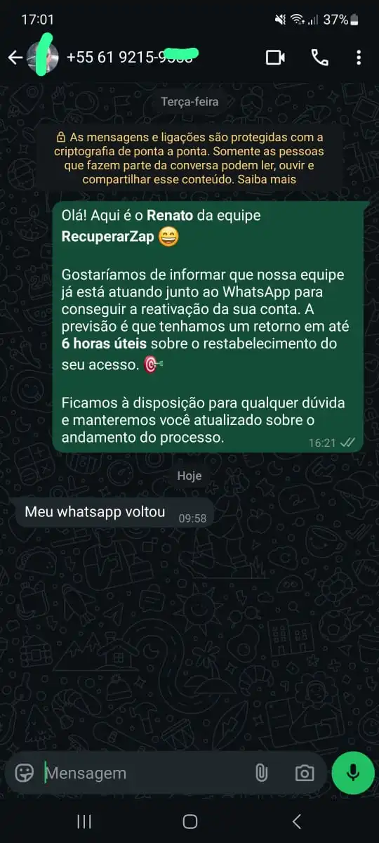 Cliente avisa que o WhatsApp voltou